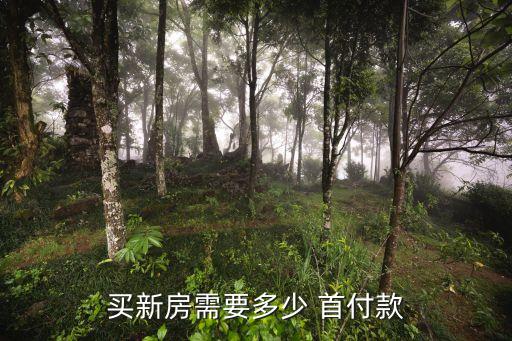 買新房需要多少 首付款