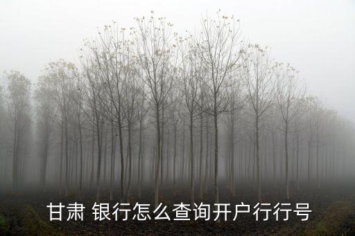  甘肅 銀行怎么查詢開(kāi)戶行行號(hào)