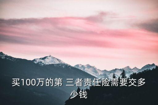 買100萬的第 三者責任險需要交多少錢