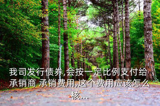公司債承銷費(fèi)一般多少,券商公司債承銷費(fèi)