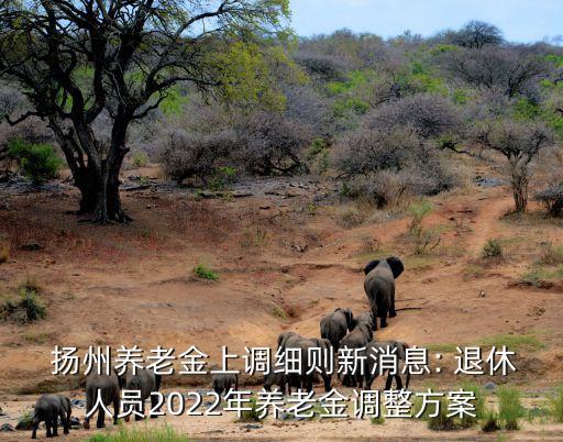  揚(yáng)州養(yǎng)老金上調(diào)細(xì)則新消息: 退休人員2022年養(yǎng)老金調(diào)整方案