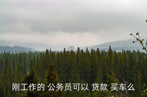 公務(wù)員買車能貸款多少,買車貸款服務(wù)費(fèi)一般多少