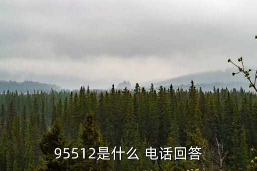 平安集團(tuán)全國客服電話是多少錢,平安的全國客服電話