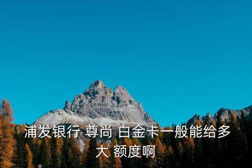  浦發(fā)銀行 尊尚 白金卡一般能給多大 額度啊