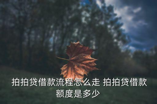 拍拍貸第一次可以借多少,第一次在拍拍貸借款能借多少