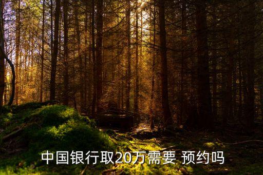 中國銀行取多少錢要預約