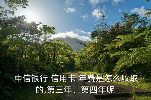  中信銀行 信用卡 年費是怎么收取的,第三年、第四年呢