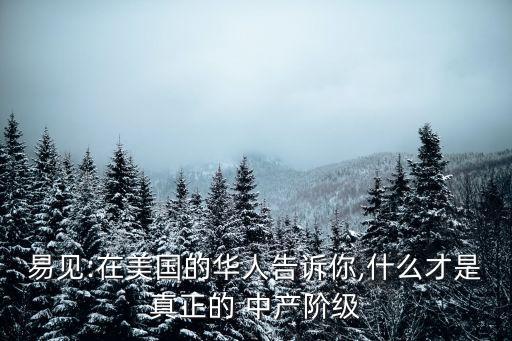 美國多少資產(chǎn)算中產(chǎn),在美國多少錢算中產(chǎn)