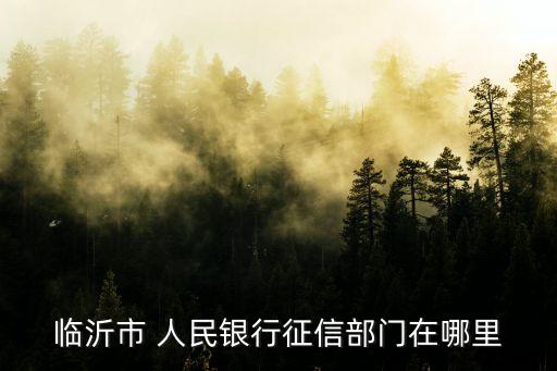 臨沂市 人民銀行征信部門在哪里