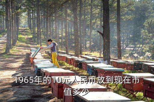 十元貨幣值多少錢,清朝的貨幣現(xiàn)在值多少錢