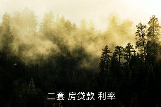  二套 房貸款 利率