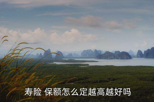 最高壽險(xiǎn)保額的保單是多少,壽險(xiǎn)最高保額是多少
