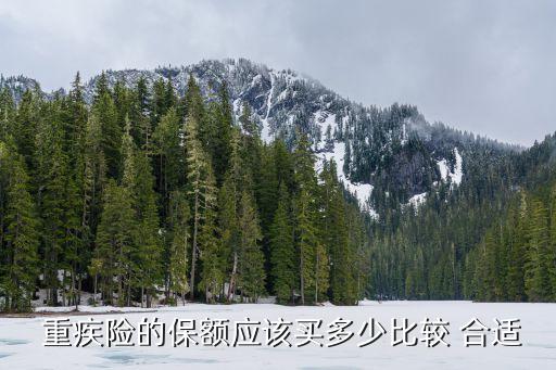 重疾險(xiǎn)一般買多少合適,小孩子重疾險(xiǎn)買多少合適
