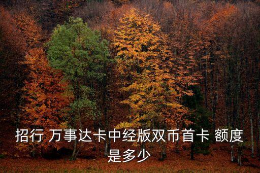 招商萬事達(dá)標(biāo)準(zhǔn)普卡額度是多少錢,平安標(biāo)準(zhǔn)萬事達(dá)普卡額度