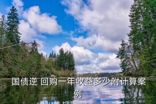 國(guó)債逆回購(gòu)利息多少,50萬(wàn)買(mǎi)逆回購(gòu)一年有多少收益