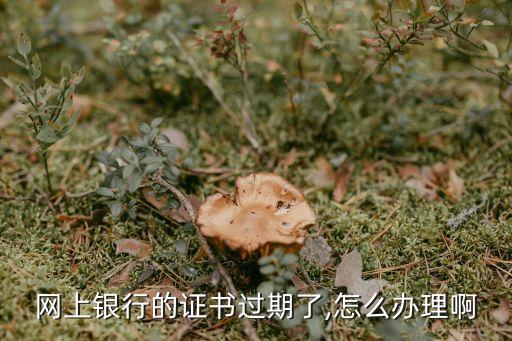 補辦中國銀行網(wǎng)銀盾多少錢,中國銀行對公賬戶補辦網(wǎng)銀盾