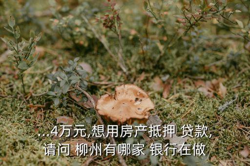 南寧柳州銀行貸款電話多少時(shí)間