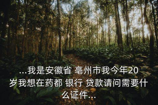 ...我是安徽省 亳州市我今年20歲我想在藥都 銀行 貸款請問需要什么證件...