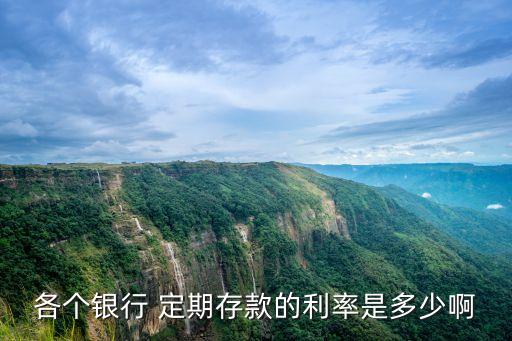 各個銀行 定期存款的利率是多少啊