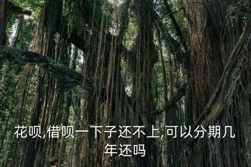 花唄,借唄一下子還不上,可以分期幾年還嗎