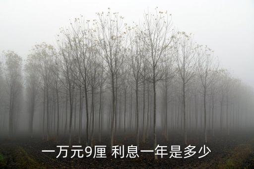一萬(wàn)元9厘 利息一年是多少