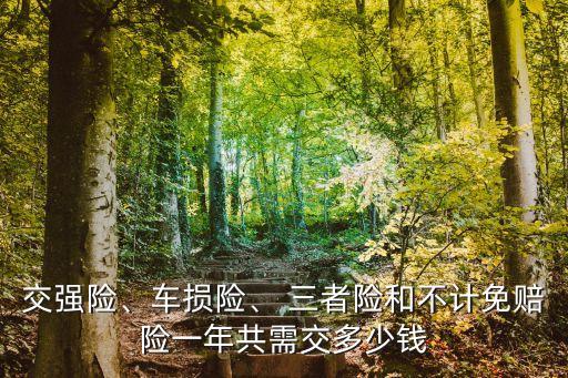 交強(qiáng)險(xiǎn)、車損險(xiǎn)、 三者險(xiǎn)和不計(jì)免賠險(xiǎn)一年共需交多少錢