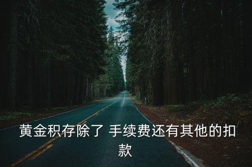  黃金積存除了 手續(xù)費還有其他的扣款