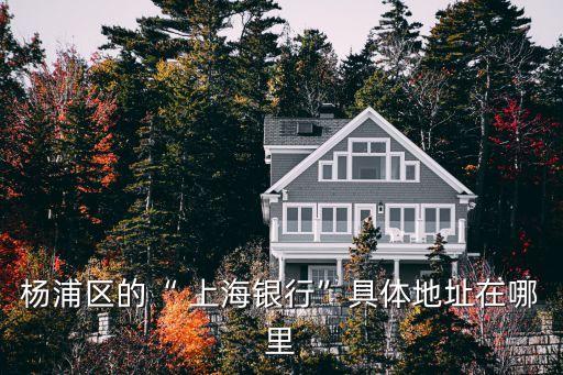 楊浦區(qū)的“ 上海銀行”具體地址在哪里