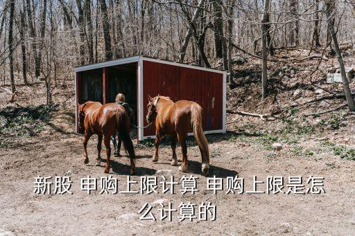  新股 申購上限計算 申購上限是怎么計算的