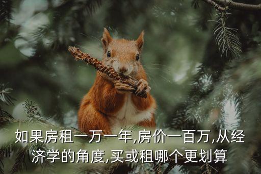 如果房租一萬一年,房?jī)r(jià)一百萬,從經(jīng)濟(jì)學(xué)的角度,買或租哪個(gè)更劃算