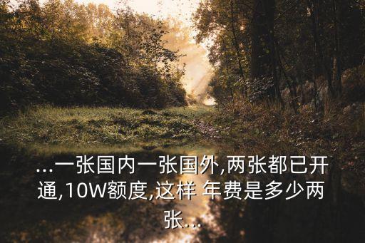 工商visa信用卡年費(fèi)是多少錢,工商留學(xué)生visa信用卡
