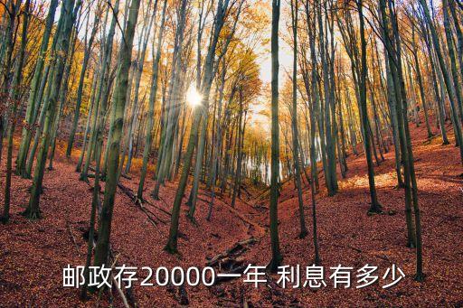 成都郵政儲蓄存款利息是多少,郵政儲蓄存款利息2022