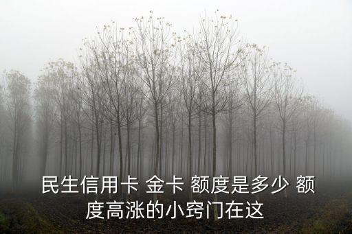  民生信用卡 金卡 額度是多少 額度高漲的小竅門(mén)在這