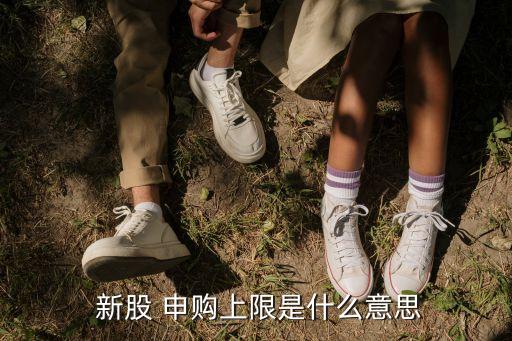  新股 申購上限是什么意思