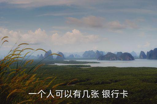 一個(gè)人可以有幾張 銀行卡