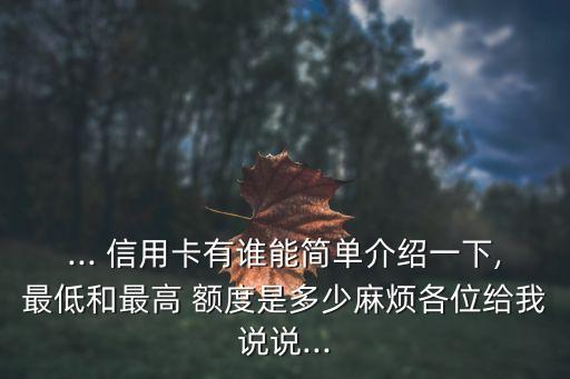 ... 信用卡有誰能簡單介紹一下,最低和最高 額度是多少麻煩各位給我說說...