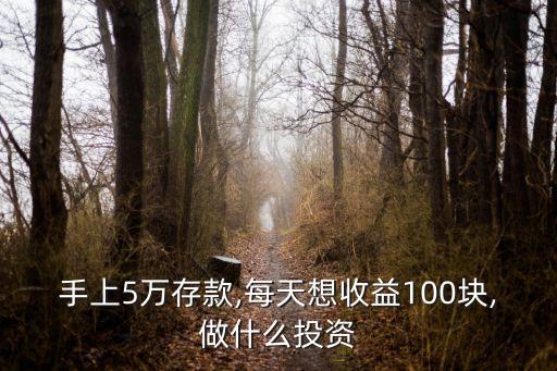 手上5萬存款,每天想收益100塊,做什么投資