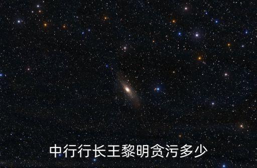 海南中行行長王黎明貪污多少