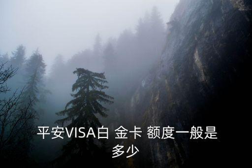 升級平安銀行的白金卡額度是多少,平安銀行萬事達美元白金卡額度