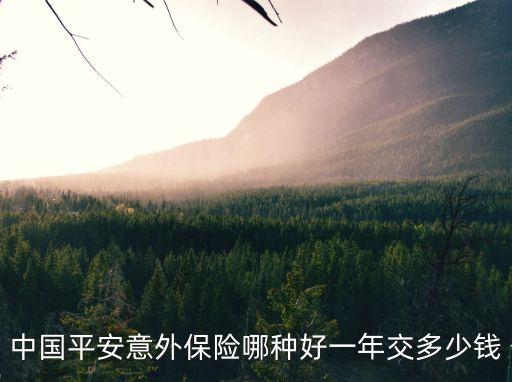 中國平安意外保險哪種好一年交多少錢