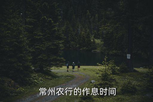 農業(yè)銀行常州營業(yè)部地址電話是多少,懷遠縣農業(yè)銀行營業(yè)部電話