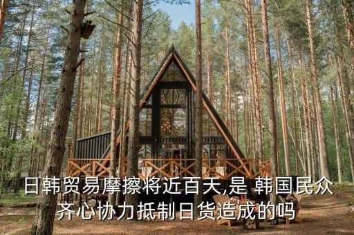 日韓貿(mào)易摩擦將近百天,是 韓國民眾齊心協(xié)力抵制日貨造成的嗎