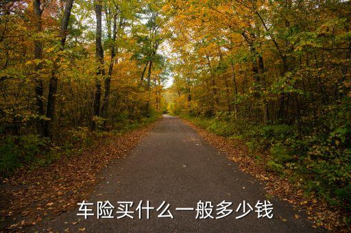車買保險大概多少錢,8年的車買保險一般多少錢