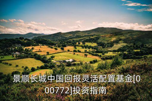  景順長(zhǎng)城中國(guó)回報(bào)靈活配置基金[000772]投資指南