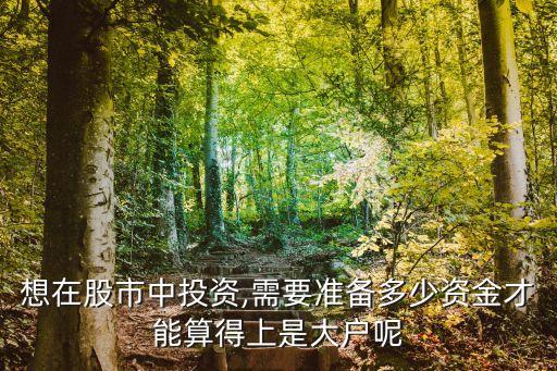 股票一般投入多少,股票總共投入多少錢,哪里看