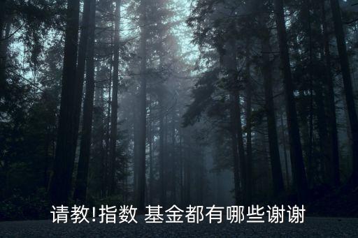請(qǐng)教!指數(shù) 基金都有哪些謝謝