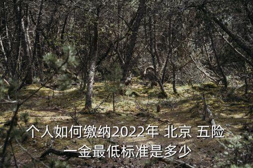 北京五險(xiǎn)一金多少錢(qián),社保五險(xiǎn)一個(gè)月要交多少錢(qián)