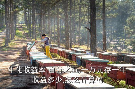 年利率百分之五利息多少