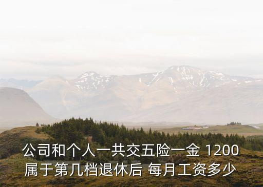 公司和個(gè)人一共交五險(xiǎn)一金 1200屬于第幾檔退休后 每月工資多少