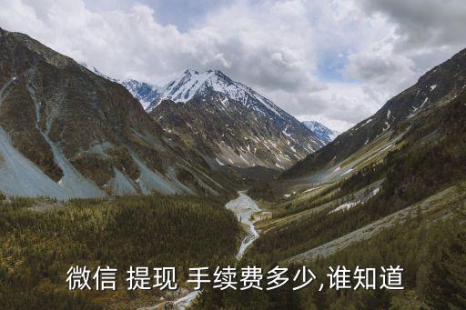  微信 提現(xiàn) 手續(xù)費多少,誰知道